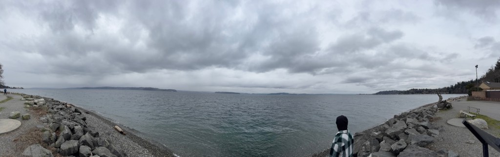 Lincoln Park Panorama​