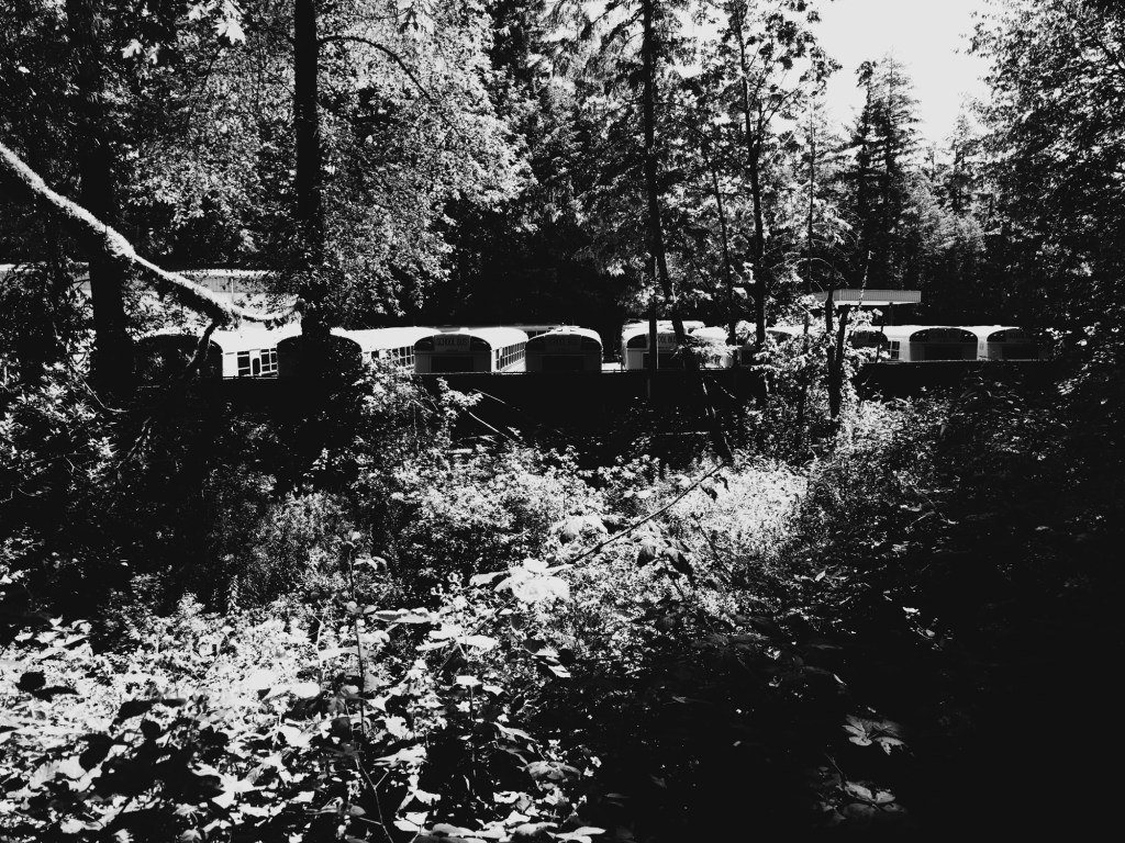 Bus depot next to the Rainier Trail