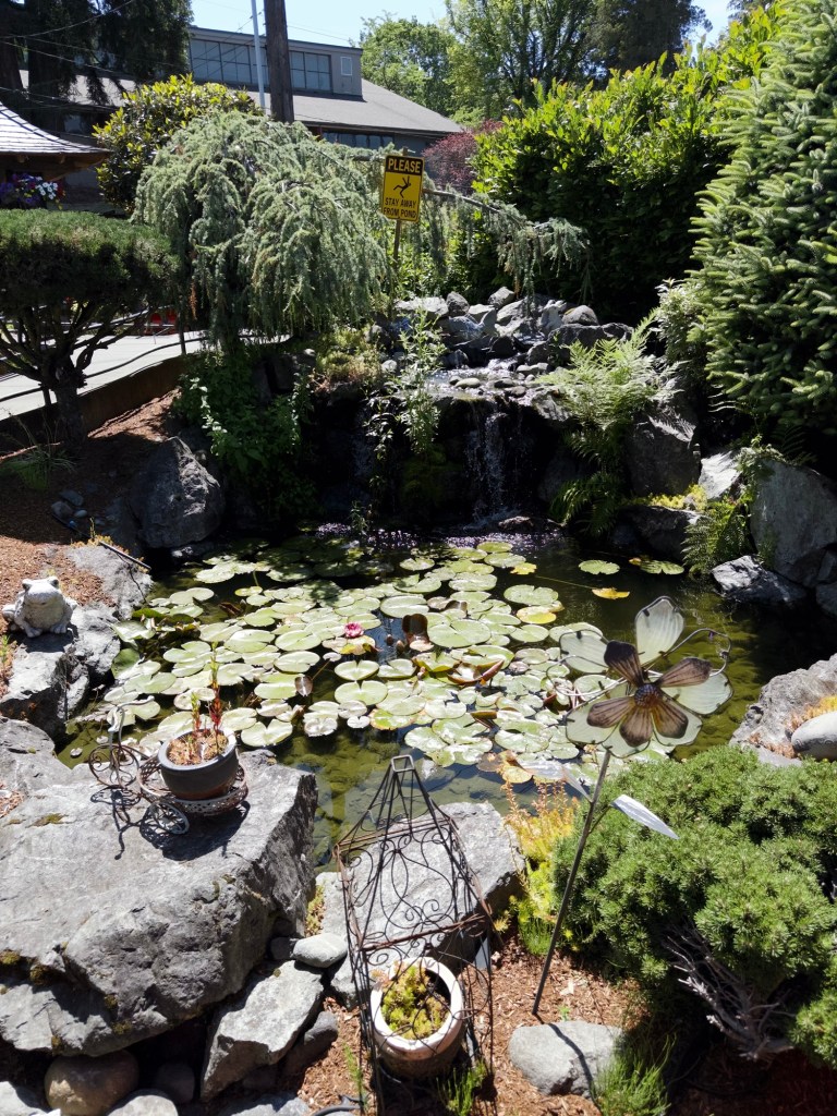 The pond at Umi Cafe